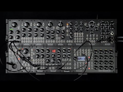 Erica Synths BLACK SYSTEM lll (BPNYC) image 6