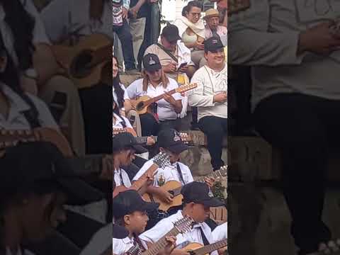 Presentacion de las Estudiantinas de la provincia de Vélez.  En Guepsa Santander 