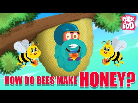 , title : 'How Do Bees Make Honey? - The Dr. Binocs Show | Best Learning Videos For Kids | Peekaboo Kidz