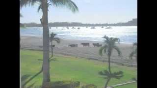 preview picture of video 'Beachfront Vacation Rental Costa Rica'