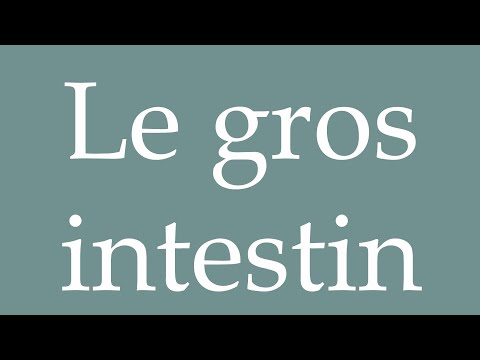 How to Pronounce ''Le gros intestin'' (The Large Intestine) Correctly in French
