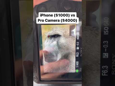 Can your phone camera beat this?