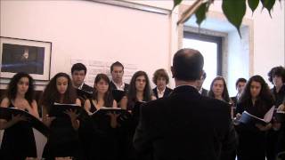 zeca afonso - cantigas de maio (Conservatorio D.Dinis)