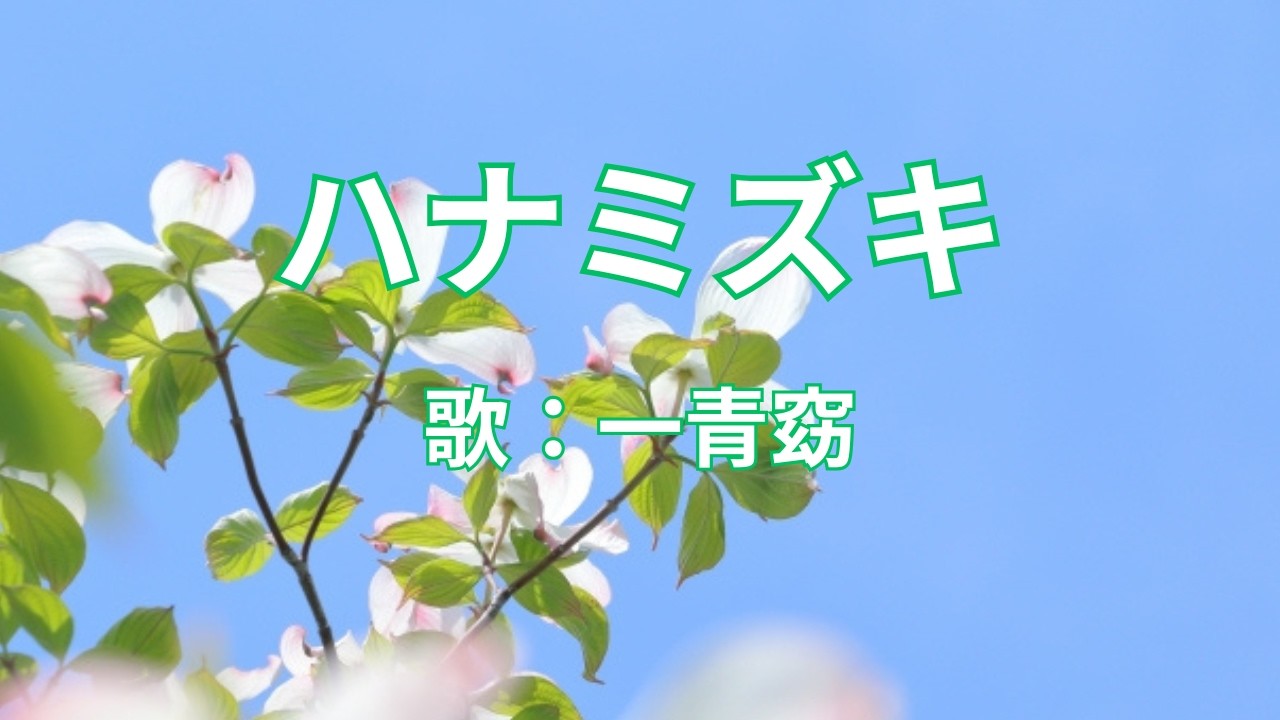 ハナミズキ　一青窈