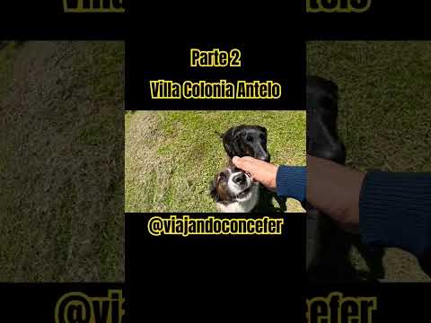 Memorias de Pueblo (Memories of the Town/People) Entrerriano! Antelo. (2/2) #shots  #travesia