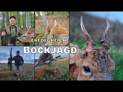 erfolgreiche Bockjagd zur Brunft und Blattzeit