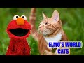 Elmo S World Cats 2021 NEW