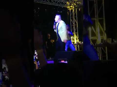 L.L. Junior almágy 2022