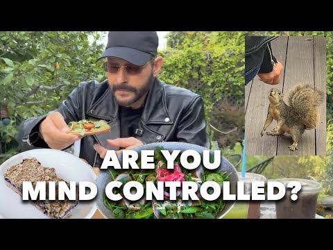 Are You Mind Controlled & Squirrel With A Tahini Cookie Addiction
