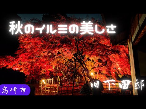 🍁🏡Iluminación del follaje otoñal Antigua residencia Shimoda Ciudad de Takasaki Iluminación de arce Minogo Jardín japonés Antigua residencia Shimoda 2022.11.20