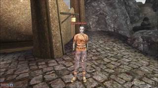 Let's Play Morrowind Part 33 - I Got a Tube For Ya