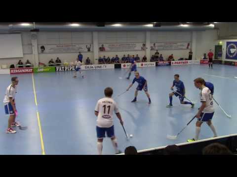 B-POJAT SM KARSINNAT 20.-21.8.2016, EräViikingit maalikooste