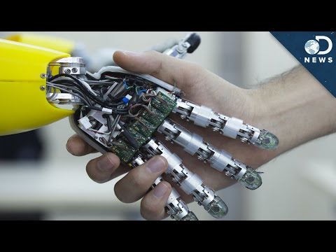 Why You Shouldn’t Fear Artificial Intelligence