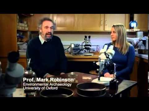 A másik Pompeji   Élet és halál Herculaneumban