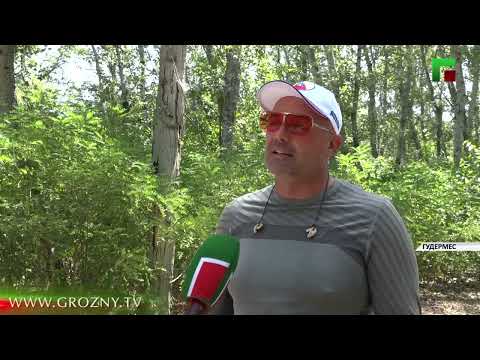 В РУС стартовал первый открытый чемпионат России по стендовой стрельбе «Chechnya Open»