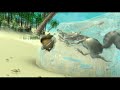 Scrat Is All Alone In A Stranded Island