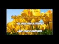 Les Poppys - Non,Non,Rien N'a Change (Karaoke ...