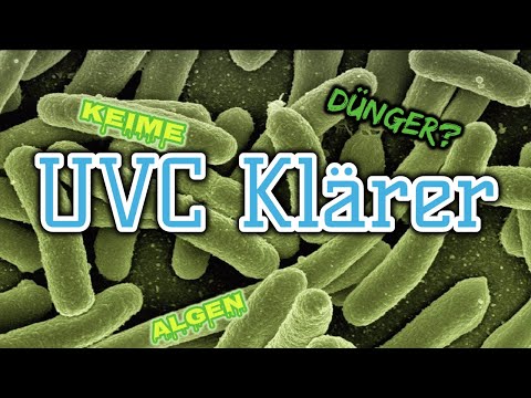 UV-Klärer gegen Algen und Keime | UV-Klärer und Dünger? | Aquarientechnik