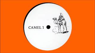 Young Marco - Camel 1 B1