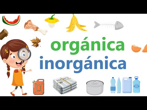 Basura orgánica e inorgánica