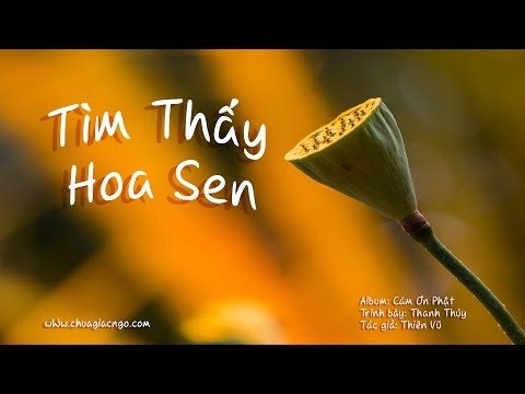 Tìm thấy hoa sen