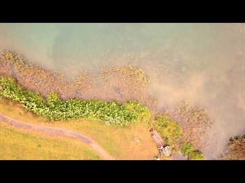 Cyril Mugglin - Bench