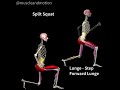 LUNGES Vs SPLIT SQUATS