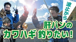 【釣り】波止からカワハギ狙います