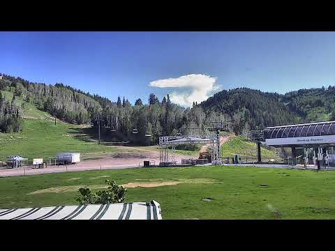 Live camera preview