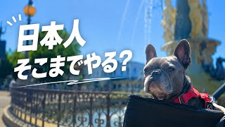 海外では見かけない日本の犬文化が面白すぎて、僕も真似してみた