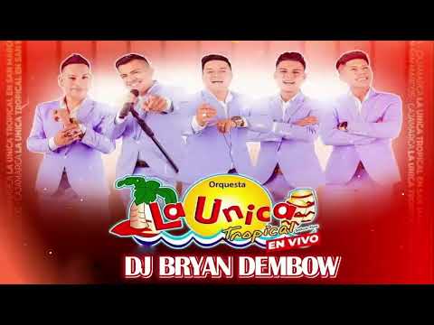 MIX LA UNICA TROPICAL 2026 ( Tattoo, Perdidos, Sal de mi vida, Tu poeta) DJ Bryan Dembow