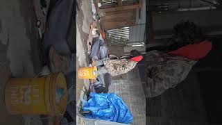 homeless at 16001 se mcloughlin 3 5 2024