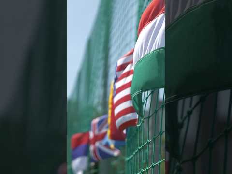 Play Video Youtube Video