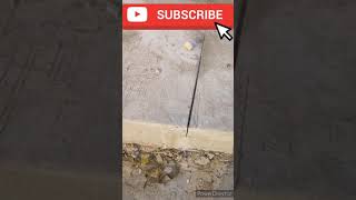 Rigid Pavement | Transverse Joint in Rigid Pavement | Highway Engineering