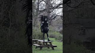 Goo Goo Dolls - Iris