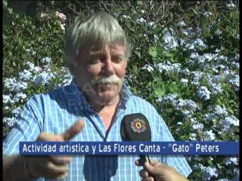 Ricardo Gato Peters 30 03 16