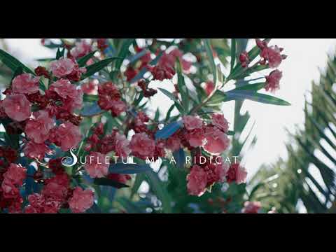 Trăiesc prin har [Official Lyric Video]