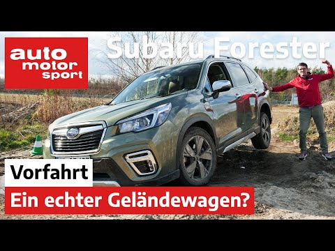 Subaru Forester e-Boxer (2020): Echter Geländekraxler? – Fahrbericht/Review | auto motor und sport