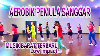 Download lagu Music Aerobic Low Impact Terbaru Dj PANDA 2025 Nofa Salsa mp3