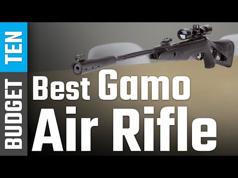 Best Gamo Air Rifle 2021 - 2022 For Hunting