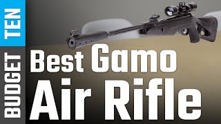 Best Gamo Air Rifle 2021 - 2022 For Hunting