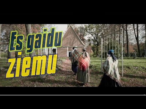 TRIĀNA PARKS - Es Gaidu Ziemu (Remix)