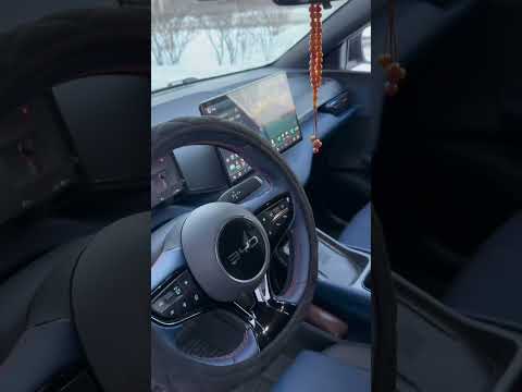Видео-отзыв клиента — BYD Seagull