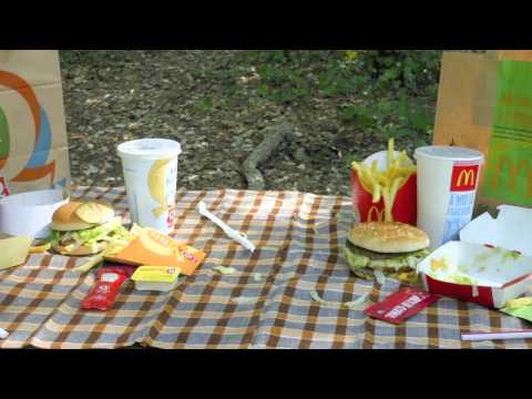 Big Mac vs Giant