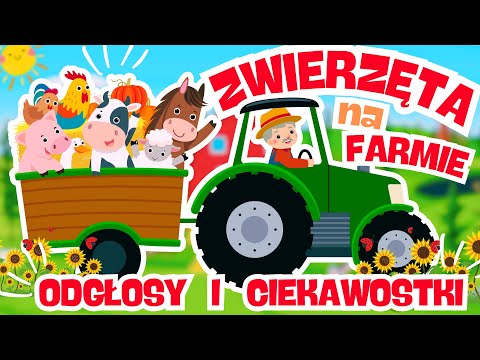 Poznaj zwierzęta na farmie! Odgłosy, ciekawostki I Edukacyjny film dla dzieci Zwierzęta na wsi PL
