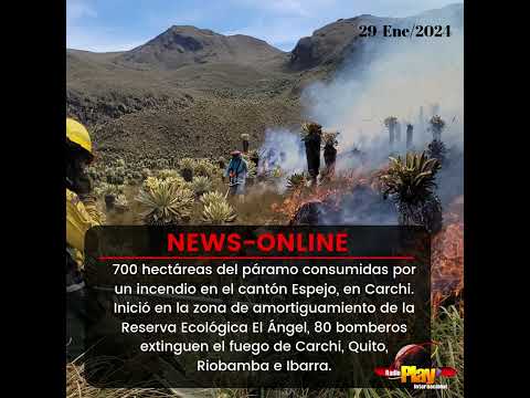 #NewsOnline📰 - #Ecuador🇪🇨 ▶️ 700 hectáreas de páramo consumidas por un incendio en Carchi.