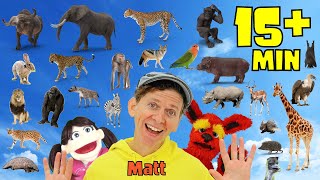 African Wild Animals Parts 1-3 | What Do You See? Song | Pop Sticks Songs