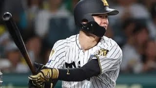 甲子園騒然…中野拓夢を襲った150キロ死球💥涙の“頑張れコール#阪神タイガース#中野拓夢#プロ野球#甲子園#死球#感動シーン#野球ハイライト#頑張れコール#スポーツ感動#NPB