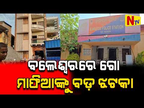 Top News | Top News
