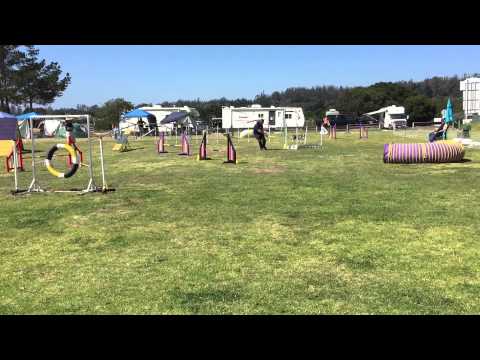 Tracy and Quimblee - Masters Challenge Standard (16") - 2015-04-17